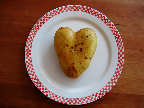 1503884205_51439c4ad32