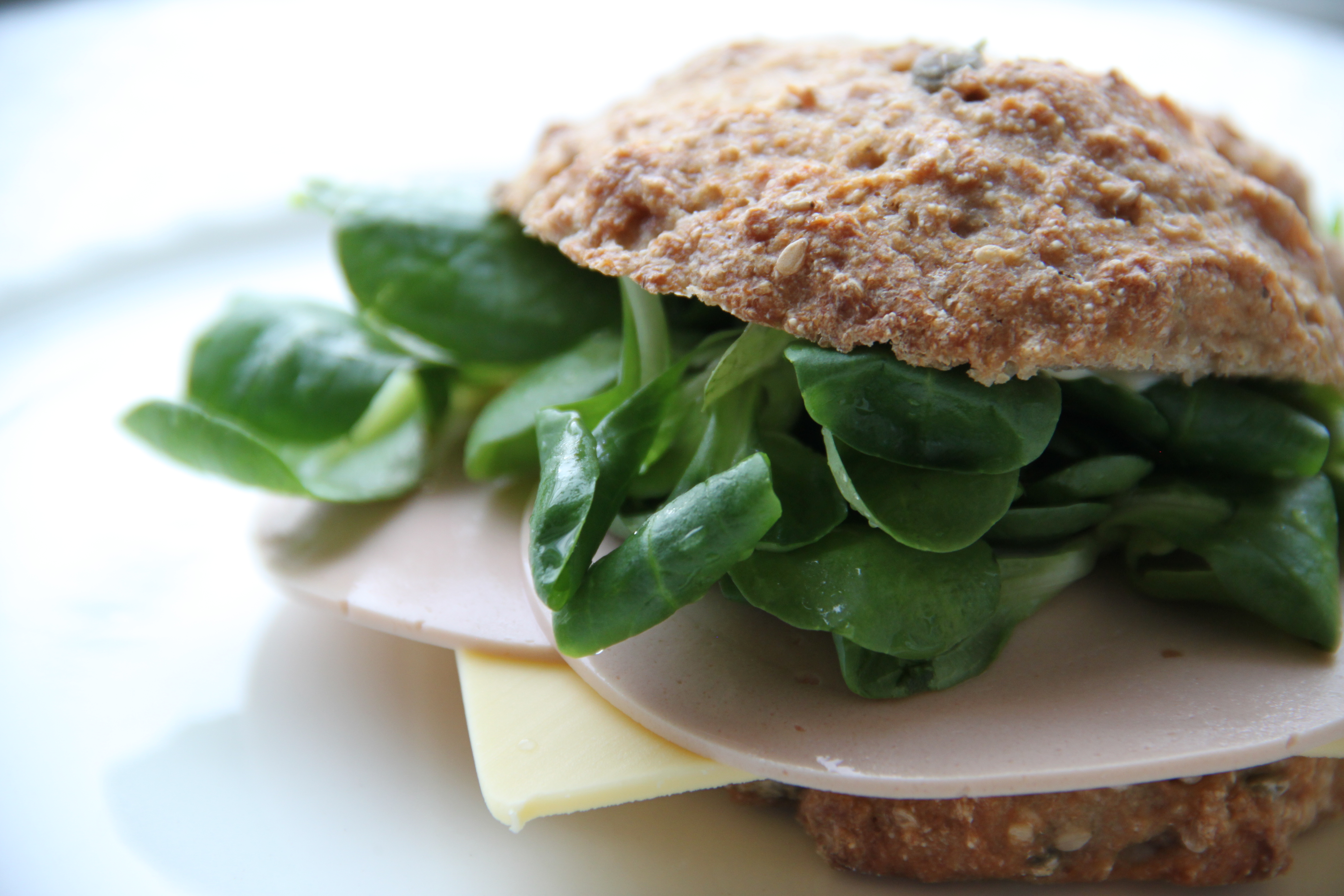 Langtidshævede grovboller